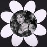 ꕤ кαгтεг’s EXCITED BC PETAL IS TONIGHT ꕤ profil fotoğrafı