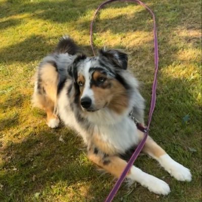 HvK IDrop's profile picture