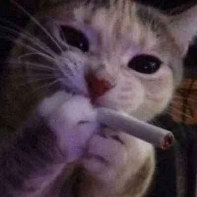 JZanettisol's profile picture