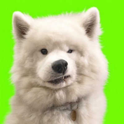 ˚🥓's profile picture