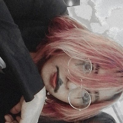 Moonlight Loon's profile picture