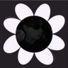 Profilbild von neffyᵏᵖ