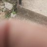 Angelyqwy profil fotoğrafı