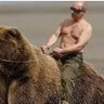 Велимила / Verimira's profile picture