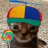 flynn's profile picture