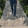 Danang profil fotoğrafı