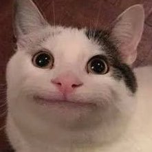 1stKino's profile picture