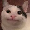 Profilbild von eA Kino