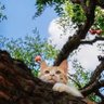 Profilbild von Wall Li