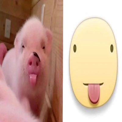 nothingjustmoew's profile picture