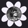 Profilbild von sara ☼ ☾