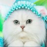 空@雲の様に悠々と's profile picture