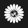 Profilbild von honeymoonavenue