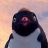 Profilbild von Armand