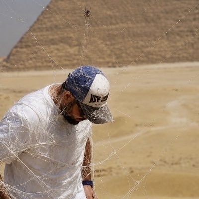 PMovies155's profile picture