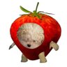 Profilbild von win⋆