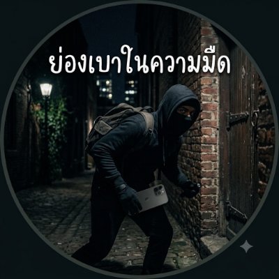 ย่องเบาในความมืด's profile picture