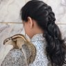Sejal 的头像
