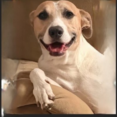 SilIgtw's profile picture