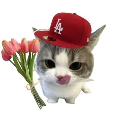 ptoffpls's profile picture
