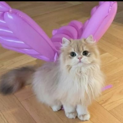 lynnnnn58681092's profile picture
