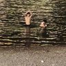 zaccck's profile picture
