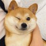 🇹🇷 X.1071.1453.X 🇹🇷's profile picture