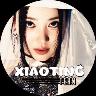 XIAOTING TEAM's profile picture