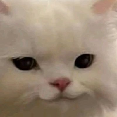 jewwstamp's profile picture