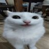 BoredSoul profil fotoğrafı