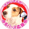 Profilbild von たんぽぽ