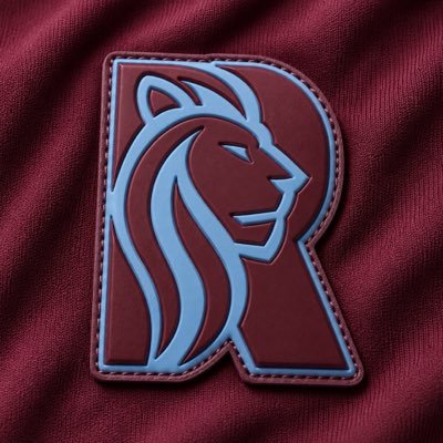 AVFCTheReligion's profile picture