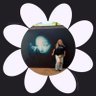 Фото профиля willow saw & misses ariana 💔