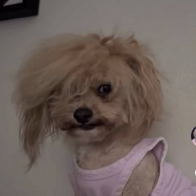 บัวขิ่น รักเคะ's profile picture