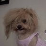 บัวขิ่น รักเคะ's profile picture