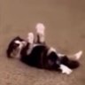 Sylvie's profile picture