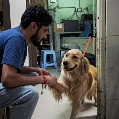 lolabhilol's profile picture