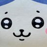 ゆき 的头像