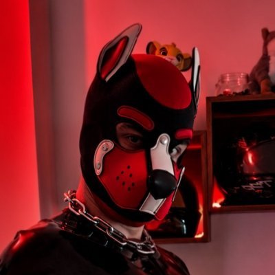RbbrFalko's profile picture