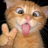 Juliano Silveira's profile picture