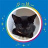 なにわ姐さん🚓◢|R.Fujiwara728 profil fotoğrafı