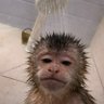 Profilbild von ลมหายใจมังกร🦇