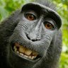 The Mad Crunchy Okie's profile picture