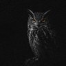 Фото профиля TheOverthinker