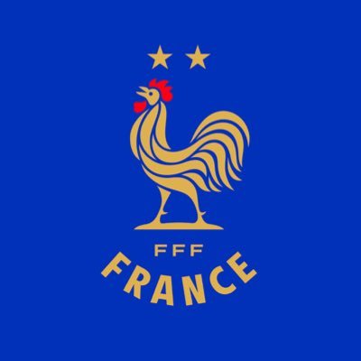 FrenchTeam's profile picture