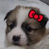 ตาลหลวย🦦's profile picture