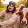Khursheed Anwar 的头像