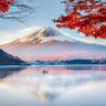 Фото профиля とまと_