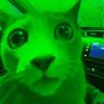 ᥫ᭡'s profile picture