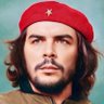 Ali Alshafei's profile picture